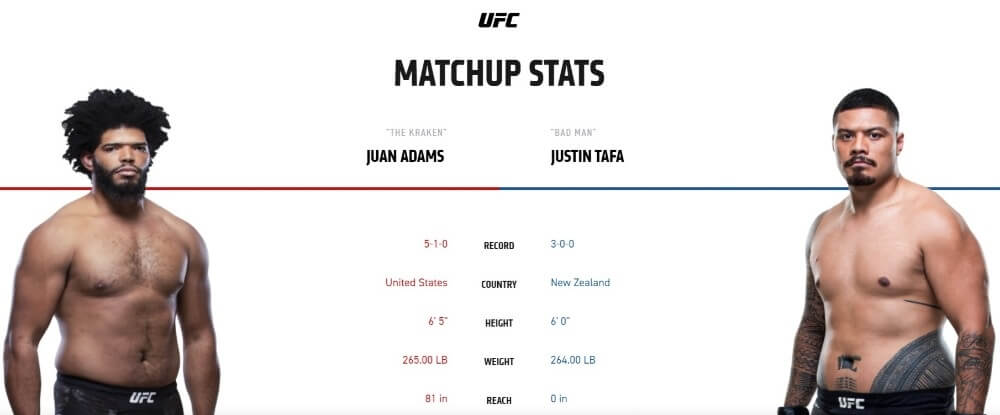 Juan Adams vs Justin Tafa live stream UFC 247